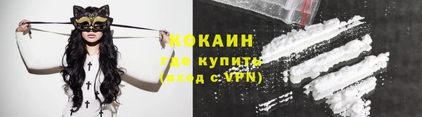 молекула духа Алексин