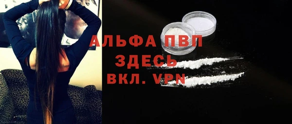 молекула духа Алексин