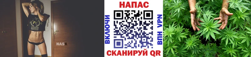 Бошки Шишки Ganja  Палласовка 
